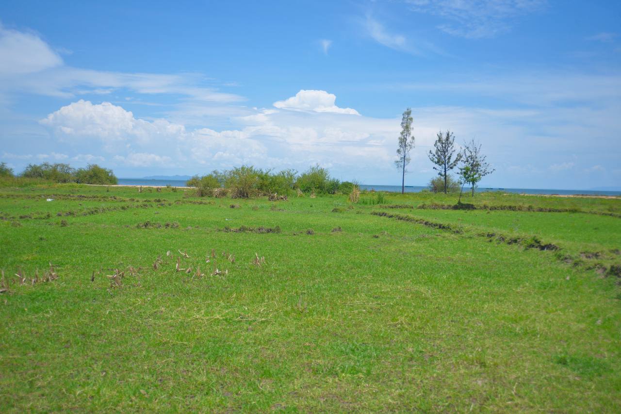 Living with dignity foundation Tanzania.